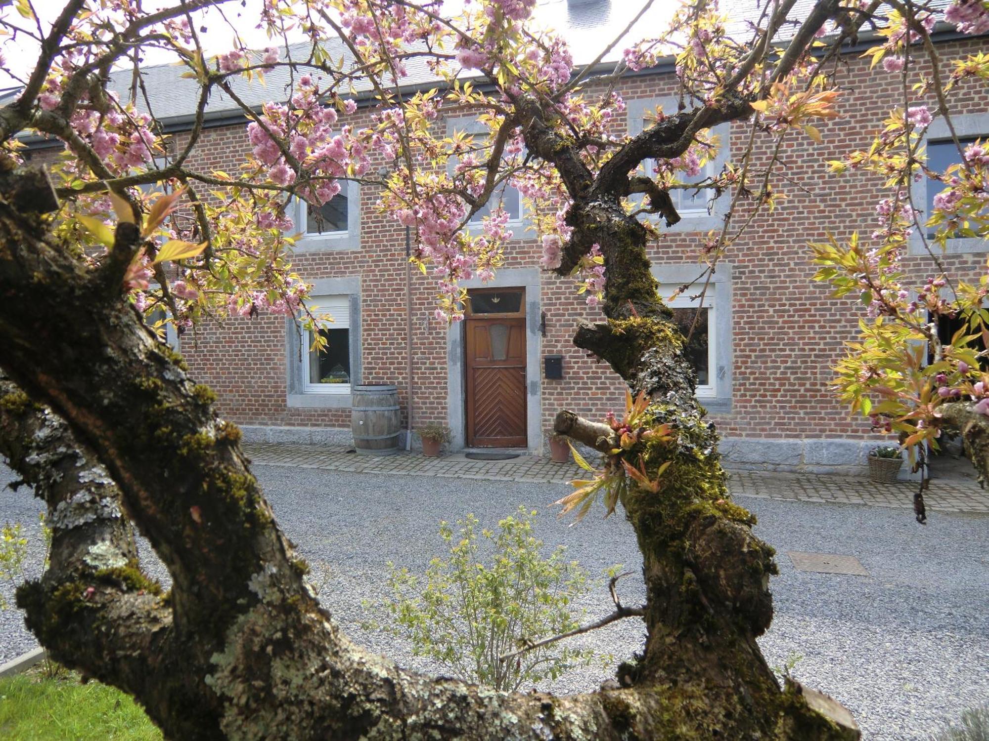 B&B Au Coeur De Villers Luaran gambar